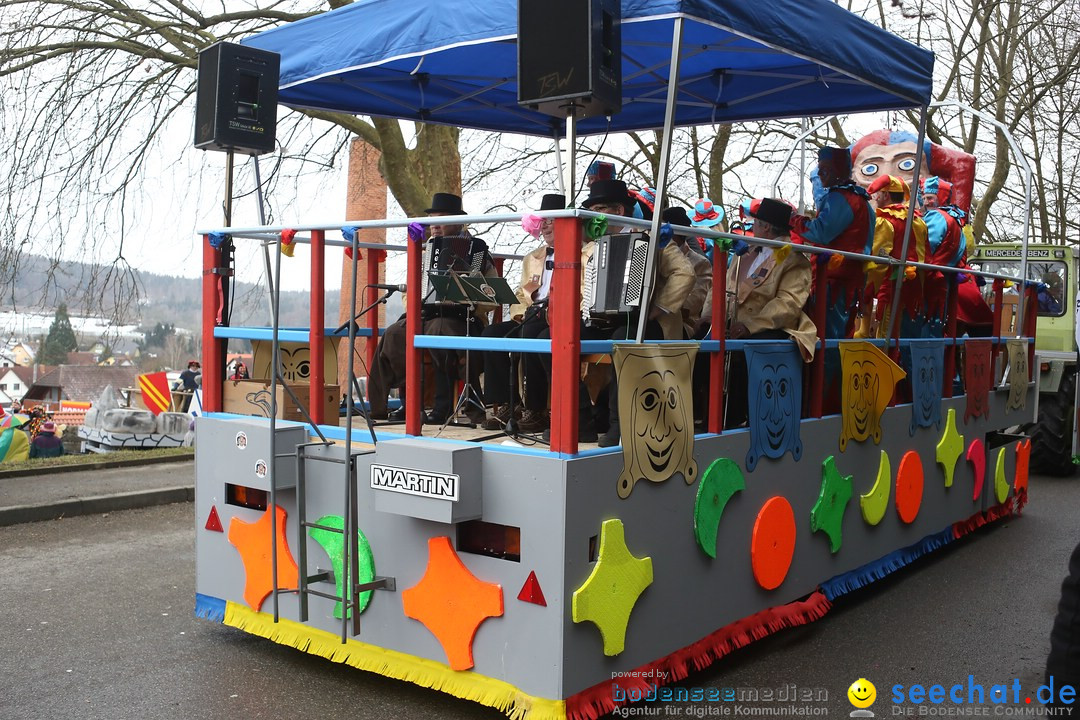 Festumzug mit Motivwagen: Stockach am Bodensee, 01.02.2015