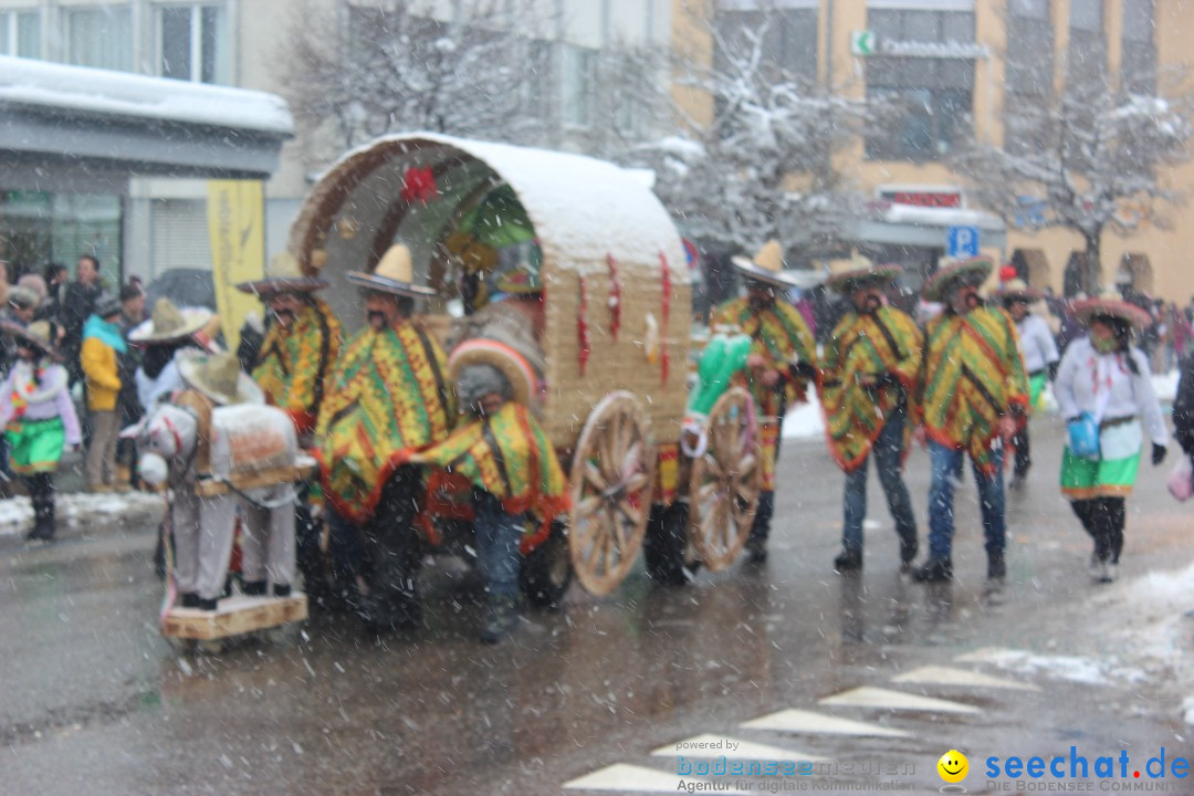 Fasnachtsumzug: Wattwil - Schweiz, 01.02.2015