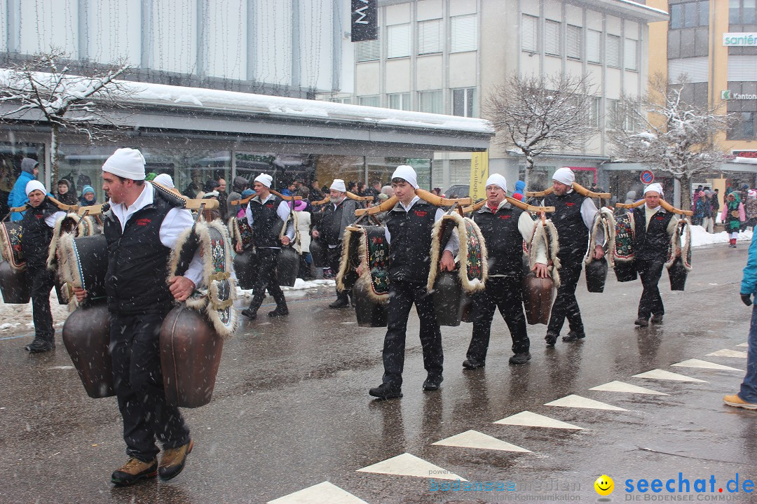 Fasnachtsumzug: Wattwil - Schweiz, 01.02.2015