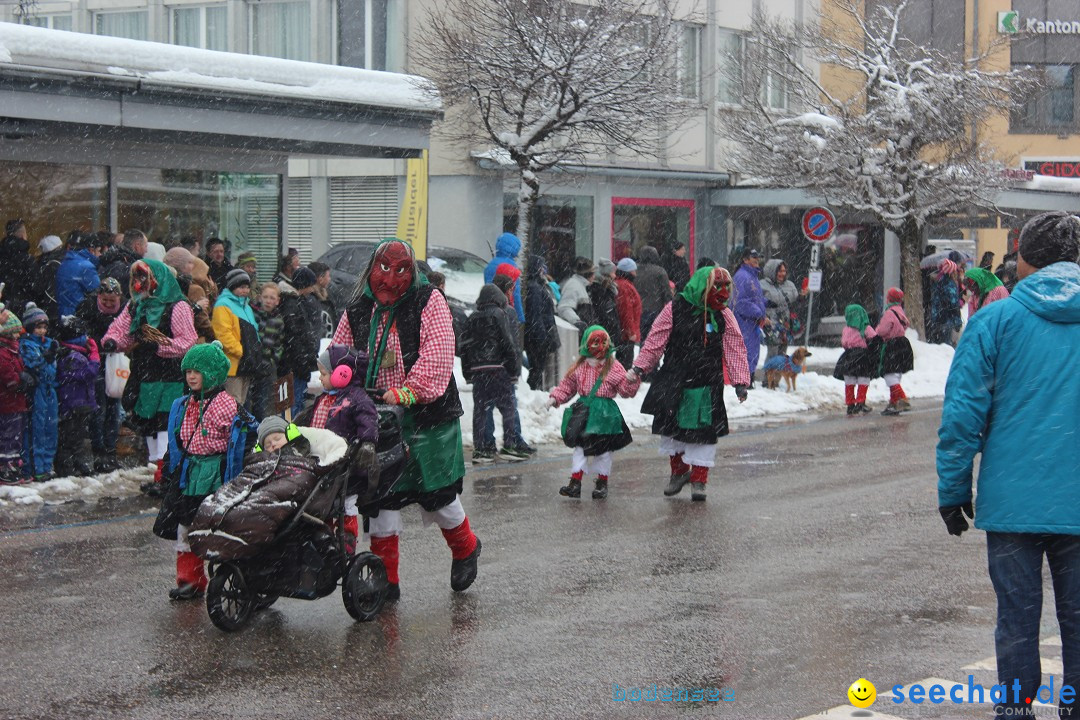 Fasnachtsumzug: Wattwil - Schweiz, 01.02.2015