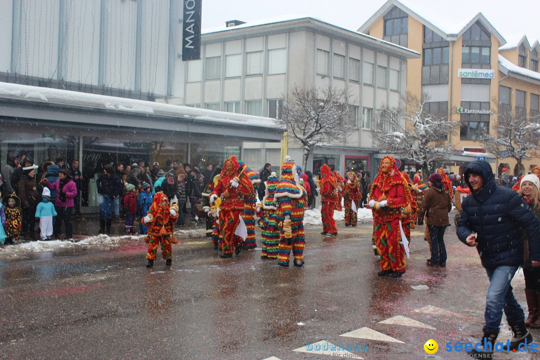 Fasnachtsumzug: Wattwil - Schweiz, 01.02.2015