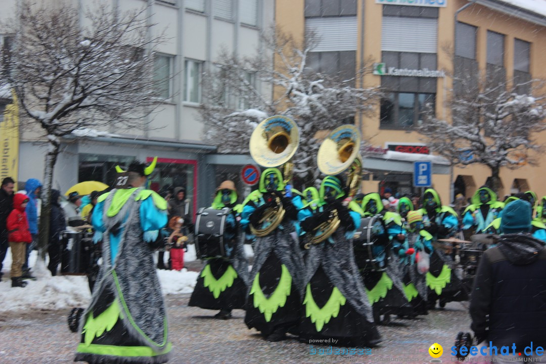 Fasnachtsumzug: Wattwil - Schweiz, 01.02.2015