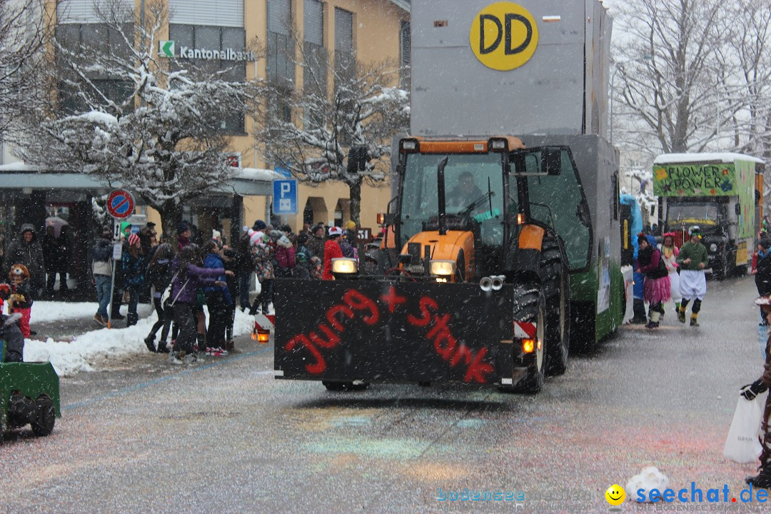 Fasnachtsumzug: Wattwil - Schweiz, 01.02.2015