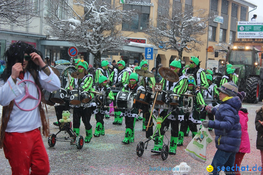 Fasnachtsumzug: Wattwil - Schweiz, 01.02.2015