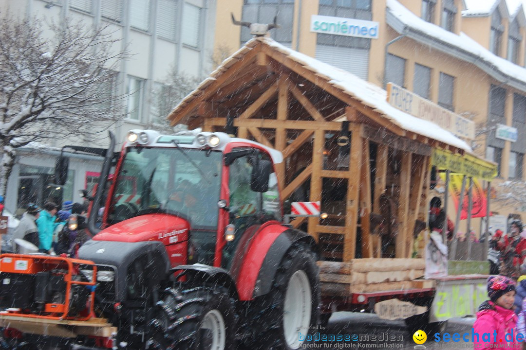 Fasnachtsumzug: Wattwil - Schweiz, 01.02.2015