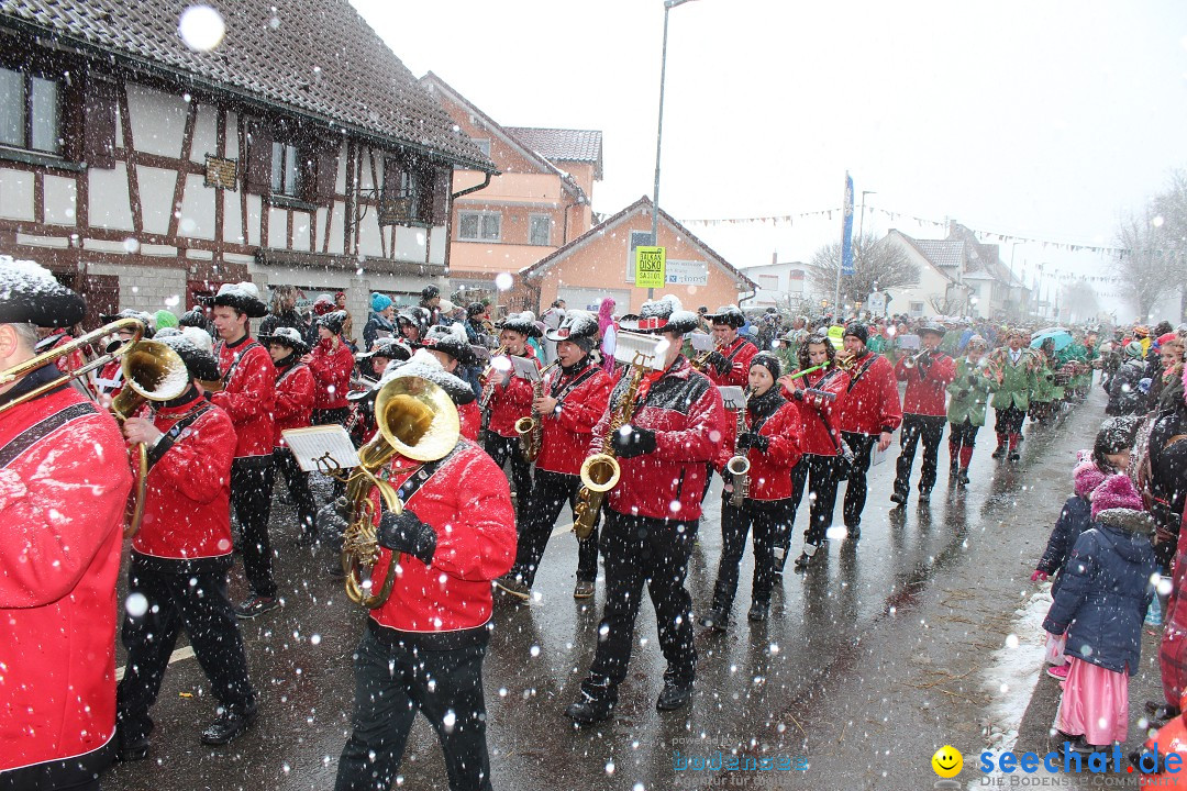 Fasnacht: Umzug und Party: Mimmenhausen am Bodensee, 01.02.2015