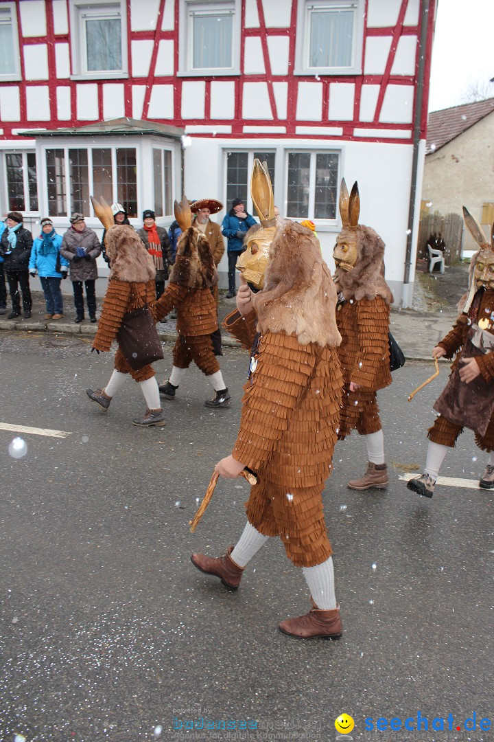 Fasnacht: Umzug und Party: Mimmenhausen am Bodensee, 01.02.2015