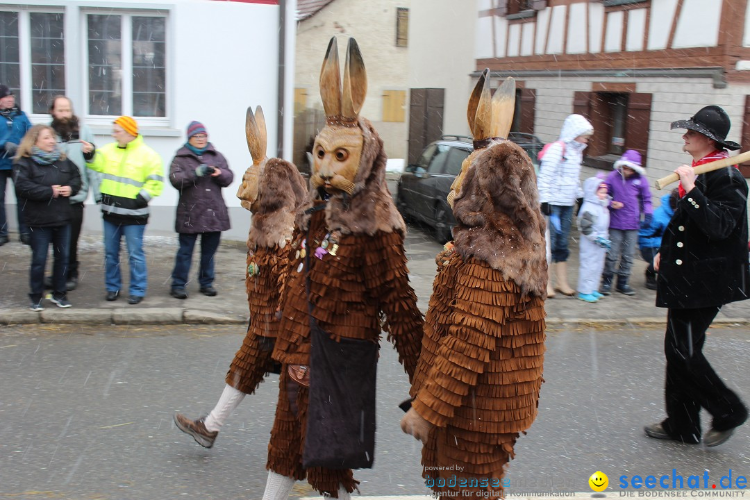 Fasnacht: Umzug und Party: Mimmenhausen am Bodensee, 01.02.2015