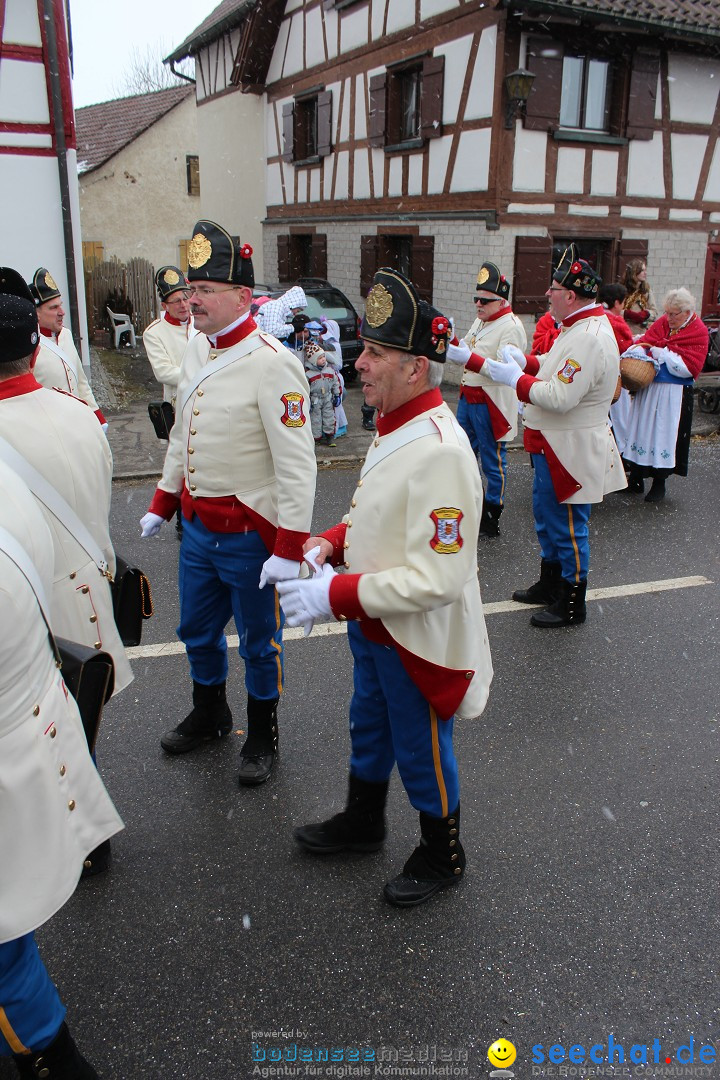 Fasnacht: Umzug und Party: Mimmenhausen am Bodensee, 01.02.2015