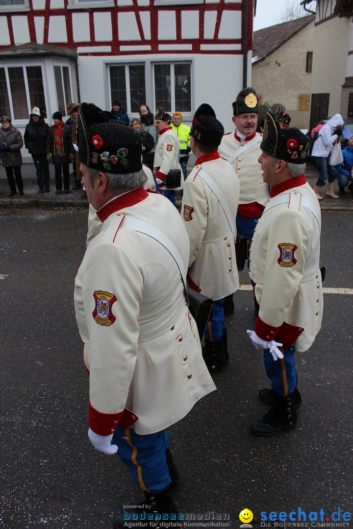 Fasnacht: Umzug und Party: Mimmenhausen am Bodensee, 01.02.2015