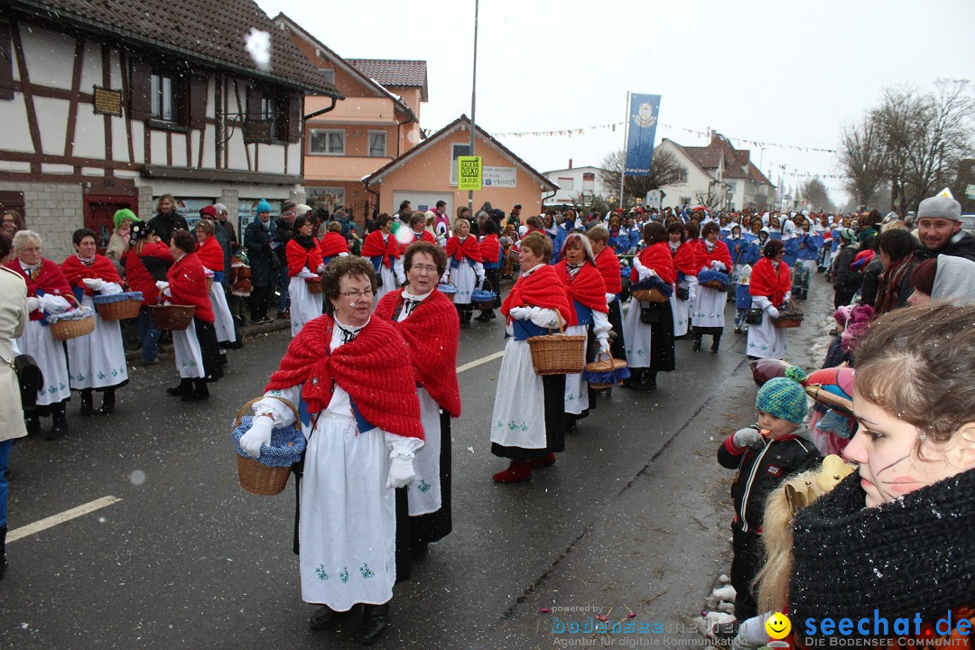 Fasnacht: Umzug und Party: Mimmenhausen am Bodensee, 01.02.2015