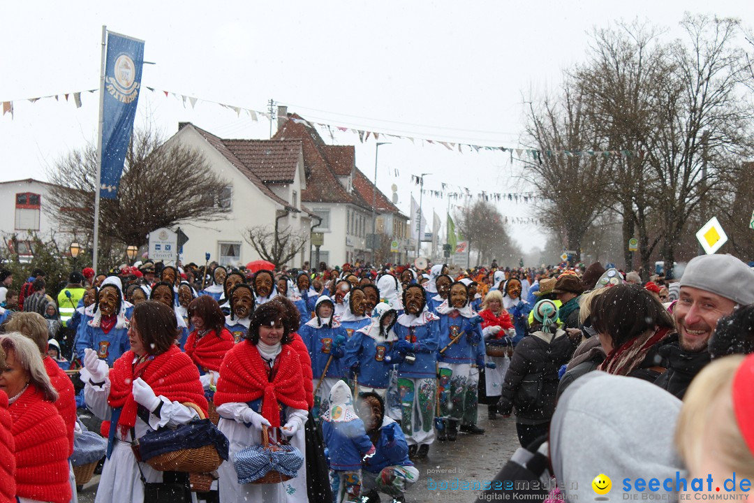 Fasnacht: Umzug und Party: Mimmenhausen am Bodensee, 01.02.2015