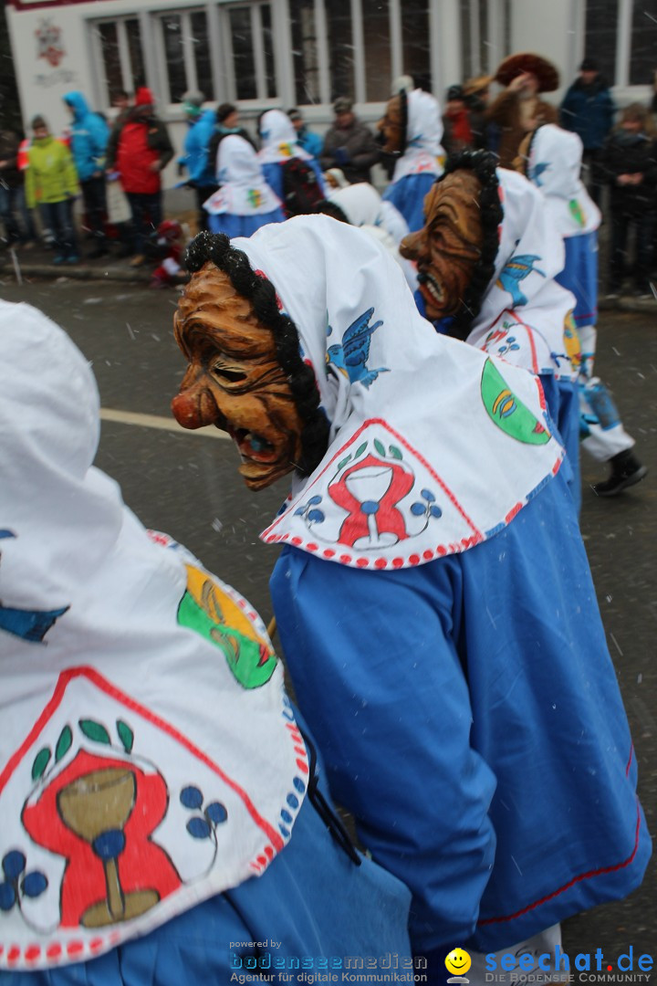 Fasnacht: Umzug und Party: Mimmenhausen am Bodensee, 01.02.2015