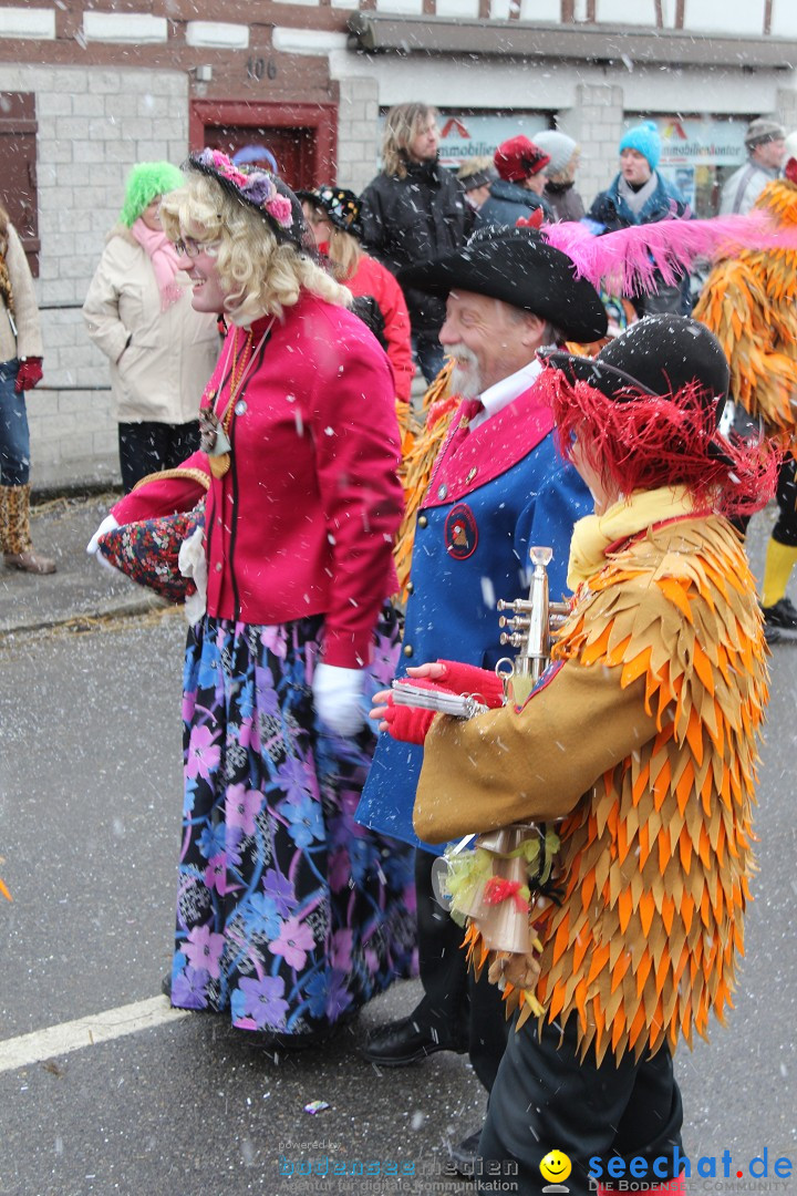 Fasnacht: Umzug und Party: Mimmenhausen am Bodensee, 01.02.2015