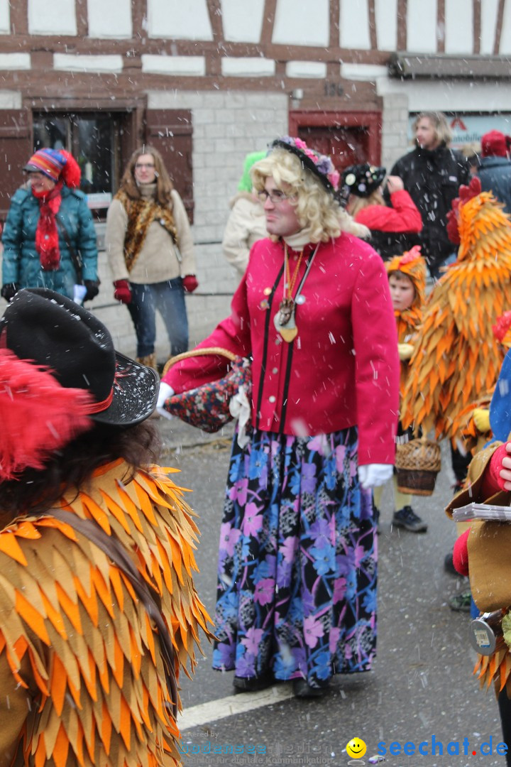 Fasnacht: Umzug und Party: Mimmenhausen am Bodensee, 01.02.2015