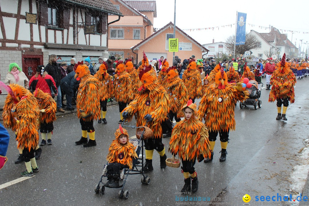 Fasnacht: Umzug und Party: Mimmenhausen am Bodensee, 01.02.2015