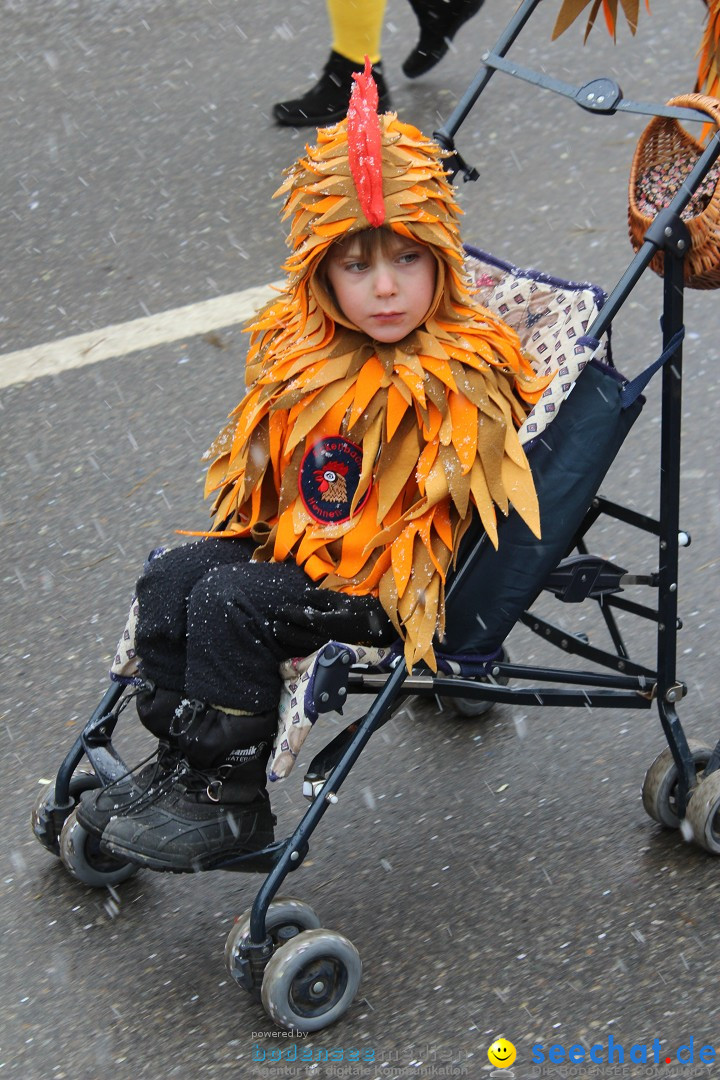 Fasnacht: Umzug und Party: Mimmenhausen am Bodensee, 01.02.2015