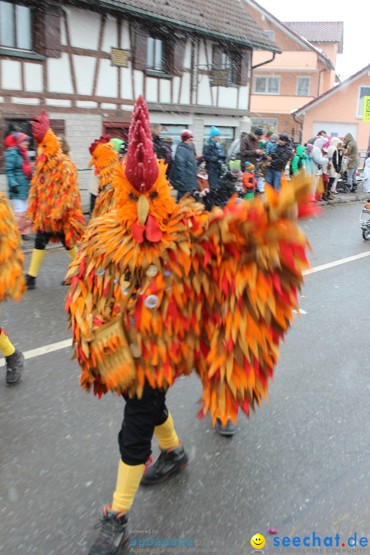 Fasnacht: Umzug und Party: Mimmenhausen am Bodensee, 01.02.2015