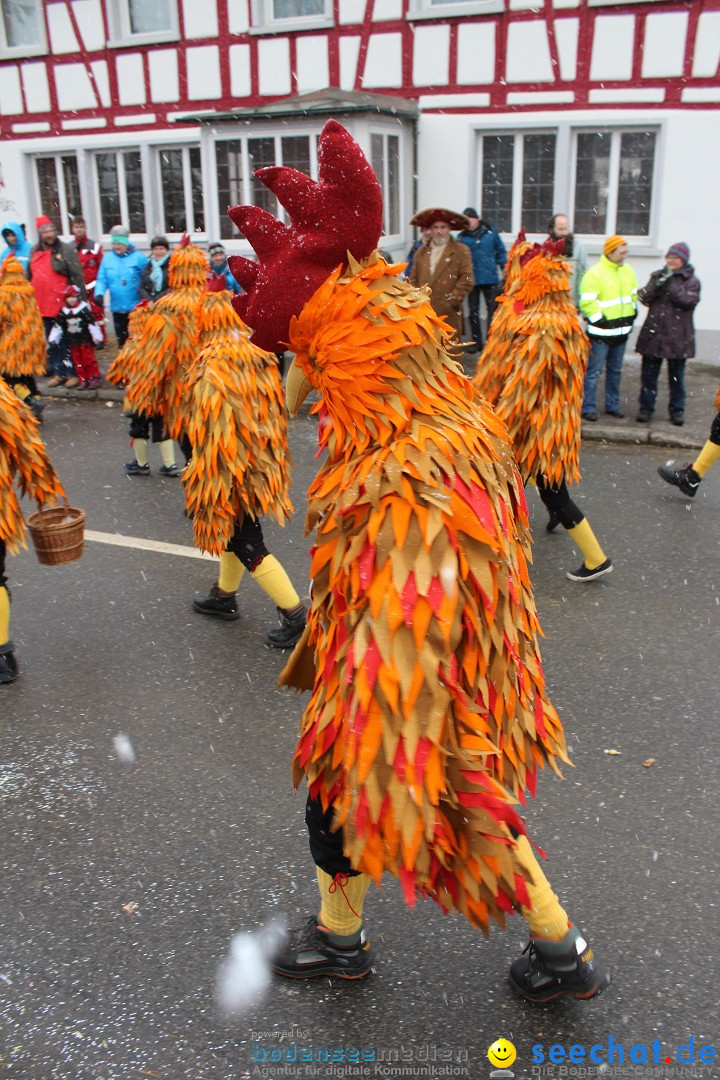 Fasnacht: Umzug und Party: Mimmenhausen am Bodensee, 01.02.2015