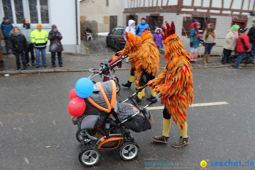 Fasnacht: Umzug und Party: Mimmenhausen am Bodensee, 01.02.2015