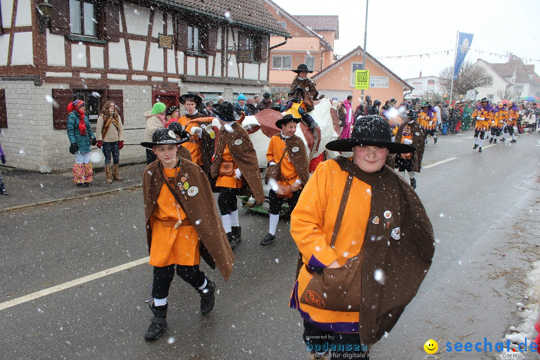 Fasnacht: Umzug und Party: Mimmenhausen am Bodensee, 01.02.2015