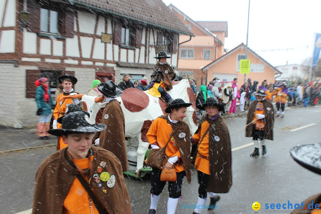 Fasnacht: Umzug und Party: Mimmenhausen am Bodensee, 01.02.2015