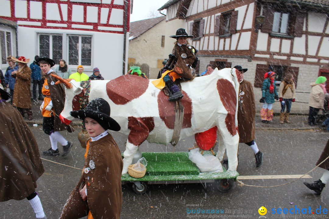 Fasnacht: Umzug und Party: Mimmenhausen am Bodensee, 01.02.2015