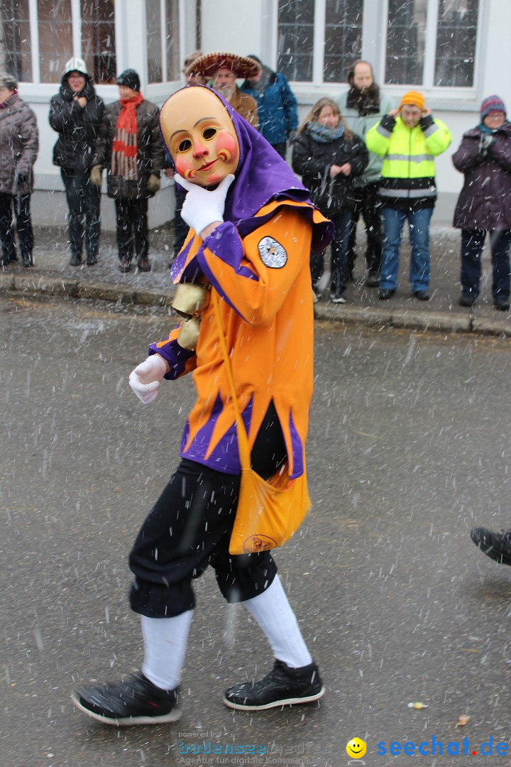 Fasnacht: Umzug und Party: Mimmenhausen am Bodensee, 01.02.2015