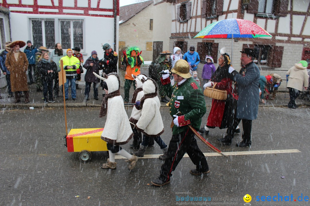 Fasnacht: Umzug und Party: Mimmenhausen am Bodensee, 01.02.2015