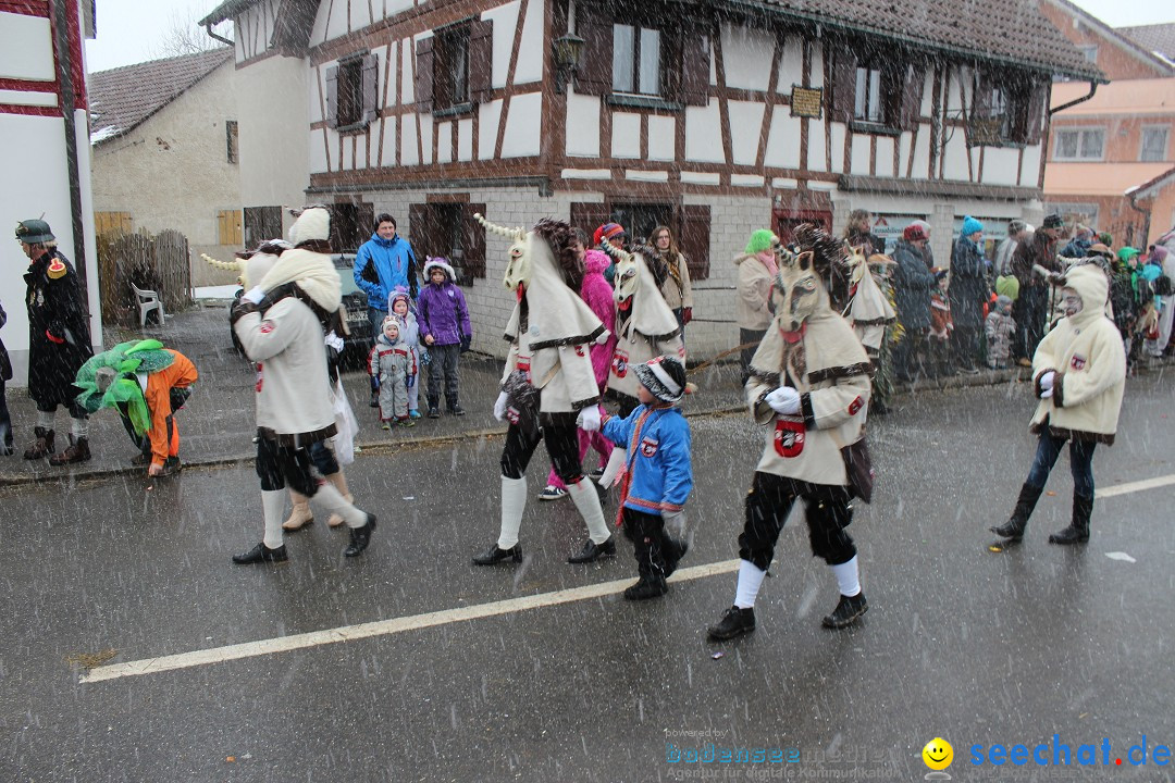 Fasnacht: Umzug und Party: Mimmenhausen am Bodensee, 01.02.2015