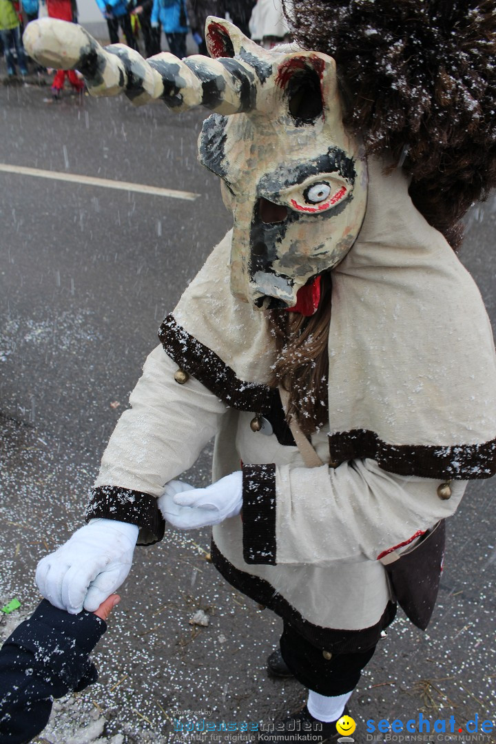 Fasnacht: Umzug und Party: Mimmenhausen am Bodensee, 01.02.2015