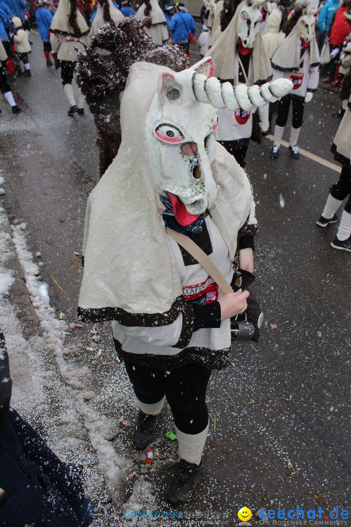 Fasnacht: Umzug und Party: Mimmenhausen am Bodensee, 01.02.2015