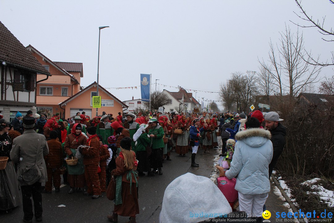 Fasnacht: Umzug und Party: Mimmenhausen am Bodensee, 01.02.2015