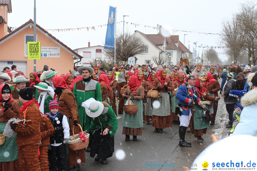 Fasnacht: Umzug und Party: Mimmenhausen am Bodensee, 01.02.2015