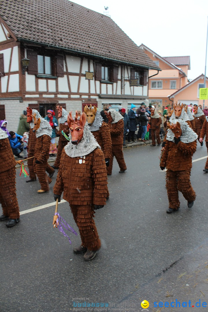 Fasnacht: Umzug und Party: Mimmenhausen am Bodensee, 01.02.2015