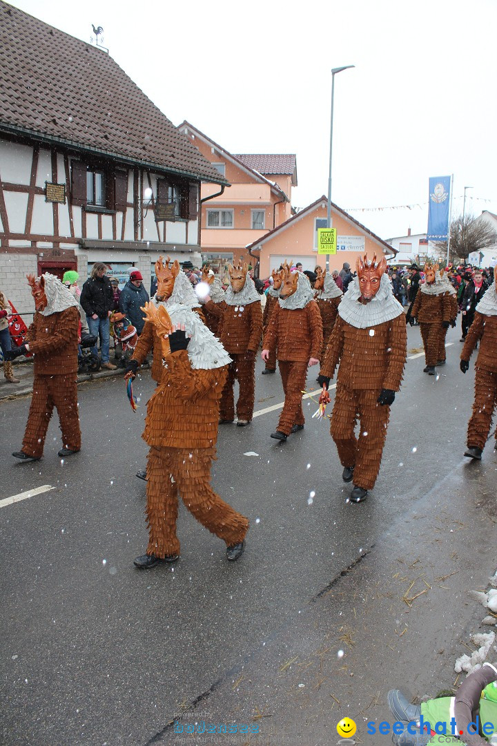 Fasnacht: Umzug und Party: Mimmenhausen am Bodensee, 01.02.2015