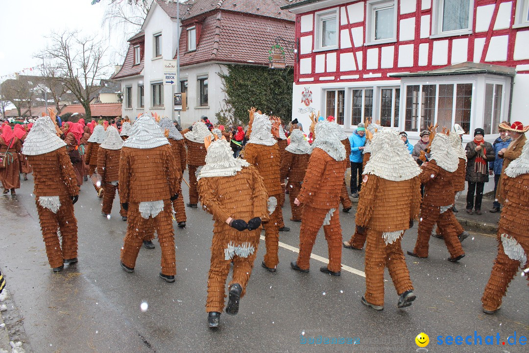 Fasnacht: Umzug und Party: Mimmenhausen am Bodensee, 01.02.2015