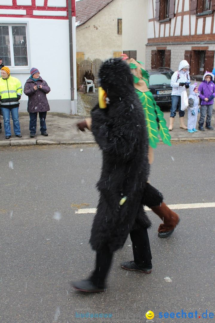 Fasnacht: Umzug und Party: Mimmenhausen am Bodensee, 01.02.2015