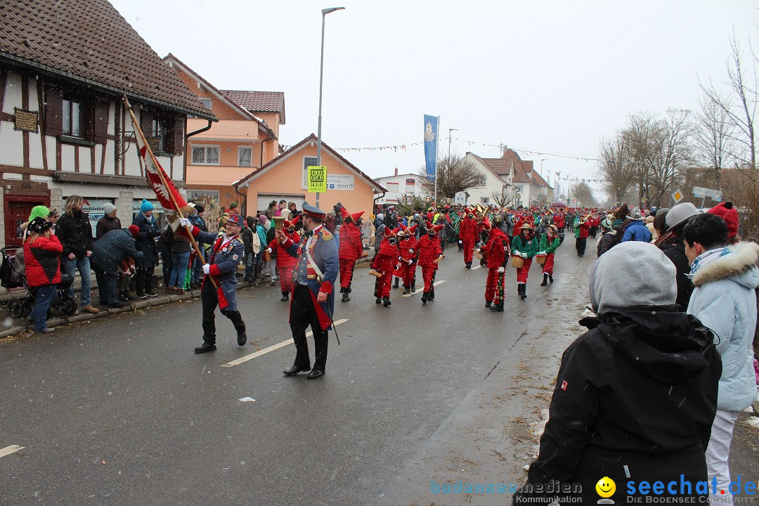 Fasnacht: Umzug und Party: Mimmenhausen am Bodensee, 01.02.2015