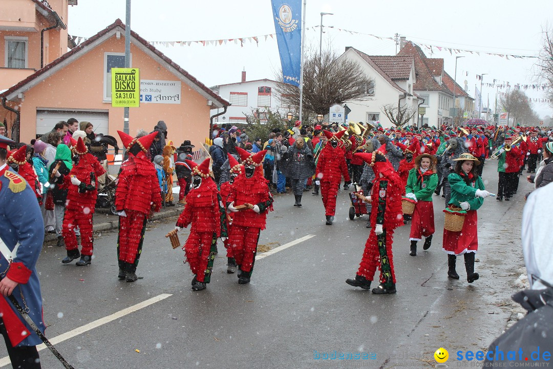 Fasnacht: Umzug und Party: Mimmenhausen am Bodensee, 01.02.2015