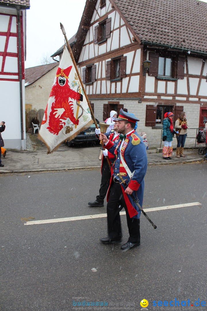 Fasnacht: Umzug und Party: Mimmenhausen am Bodensee, 01.02.2015