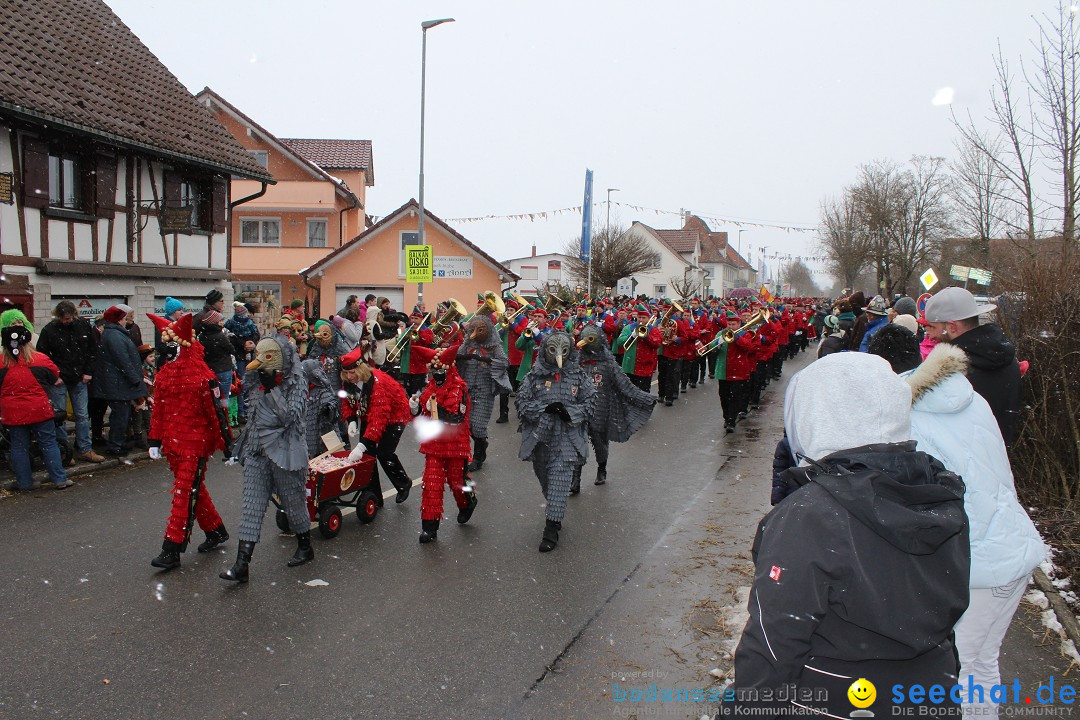 Fasnacht: Umzug und Party: Mimmenhausen am Bodensee, 01.02.2015