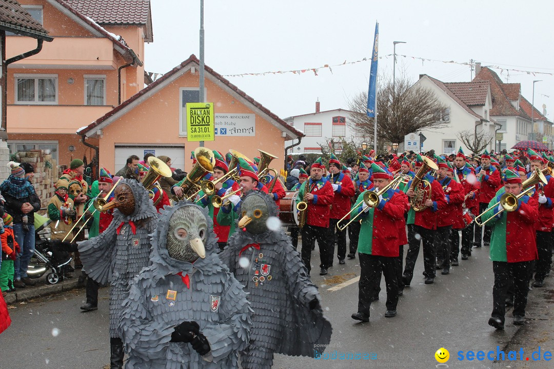 Fasnacht: Umzug und Party: Mimmenhausen am Bodensee, 01.02.2015