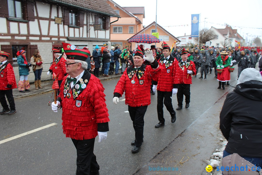 Fasnacht: Umzug und Party: Mimmenhausen am Bodensee, 01.02.2015