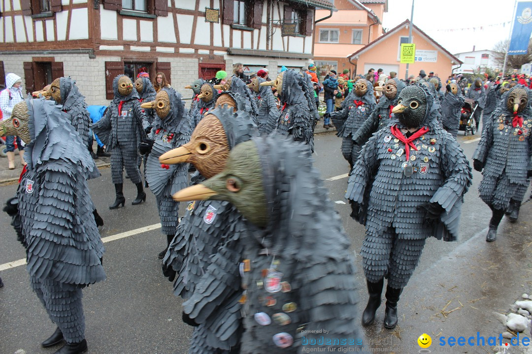 Fasnacht: Umzug und Party: Mimmenhausen am Bodensee, 01.02.2015