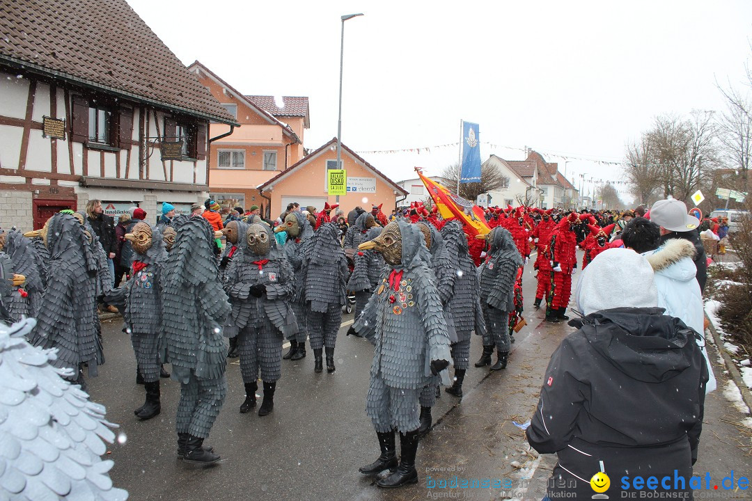 Fasnacht: Umzug und Party: Mimmenhausen am Bodensee, 01.02.2015