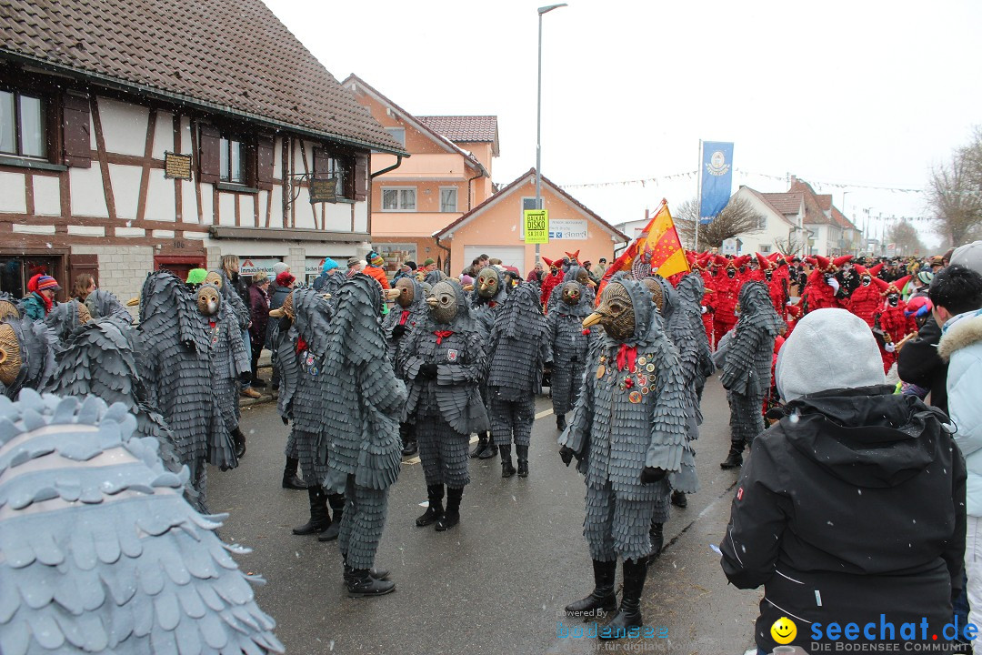 Fasnacht: Umzug und Party: Mimmenhausen am Bodensee, 01.02.2015