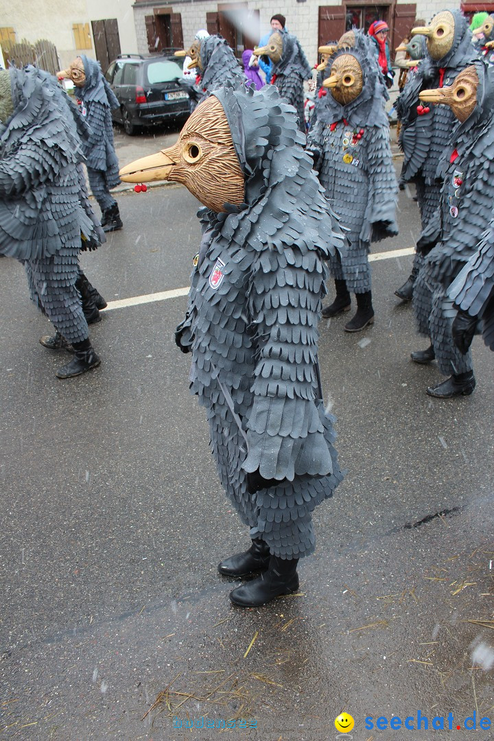 Fasnacht: Umzug und Party: Mimmenhausen am Bodensee, 01.02.2015