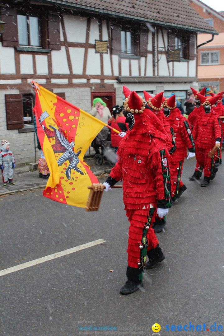 Fasnacht: Umzug und Party: Mimmenhausen am Bodensee, 01.02.2015