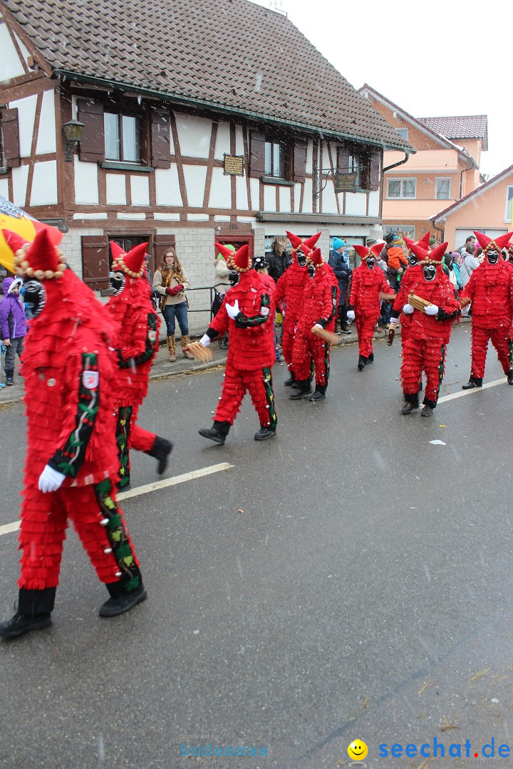 Fasnacht: Umzug und Party: Mimmenhausen am Bodensee, 01.02.2015